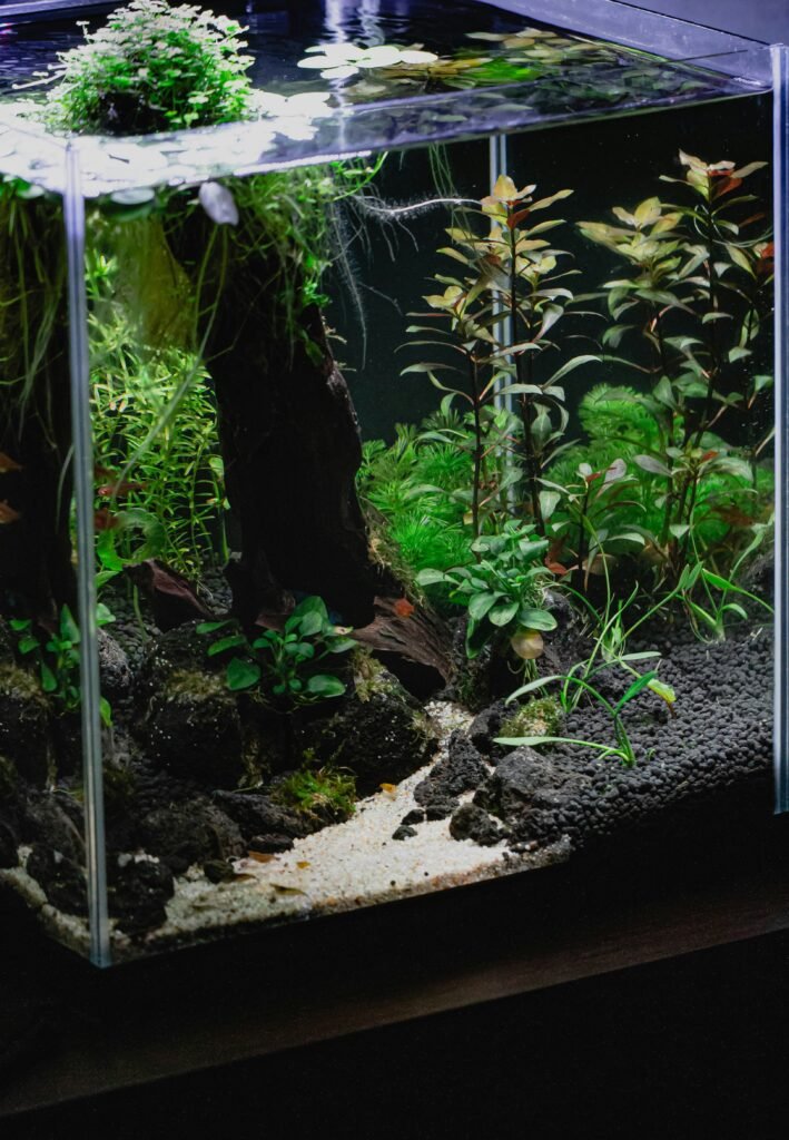 Unveiling the Essential Aquascaping Materials: A Beginner's Guide to Crafting the Perfect Underwater Oasis